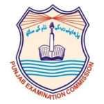 Punjab Examination Commission (PEC) Logo