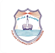 Punjab Examination Commission (PEC) Logo