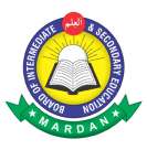 Bise Mardan logo